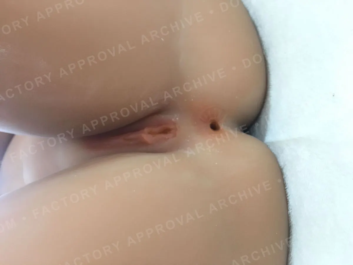 Anonymized factory photo showing a completed doll build for visible configuration review.