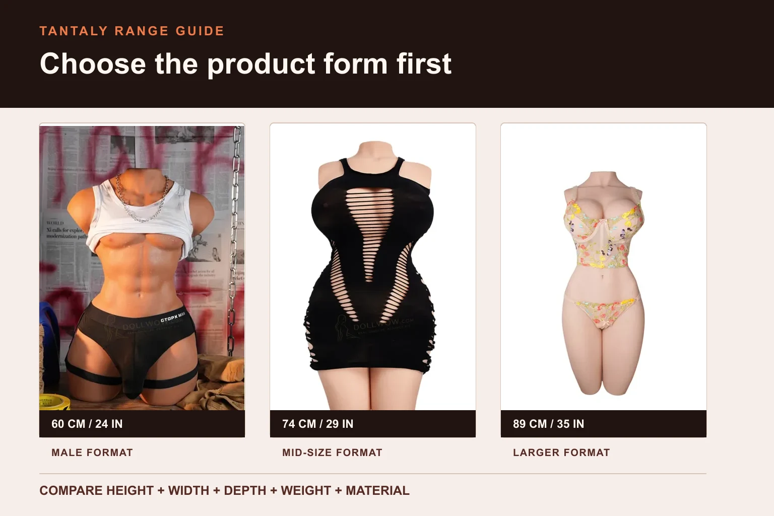 Three current Tantaly torso formats with verified heights and a checklist for comparing width, depth, weight, and material